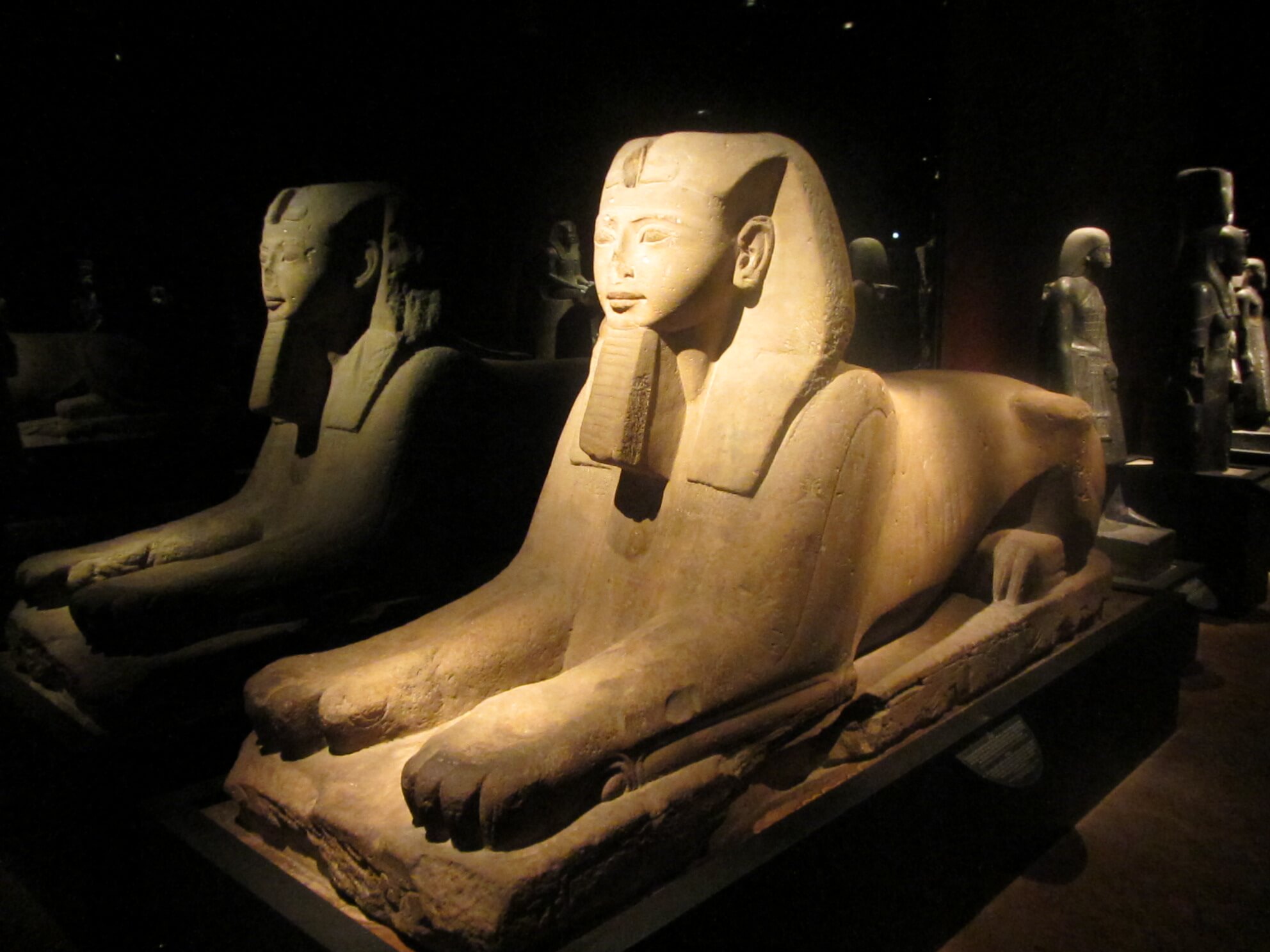 The Egyptian Museum of Turin: A Journey into the Millennia-old History of Ancient Egypt