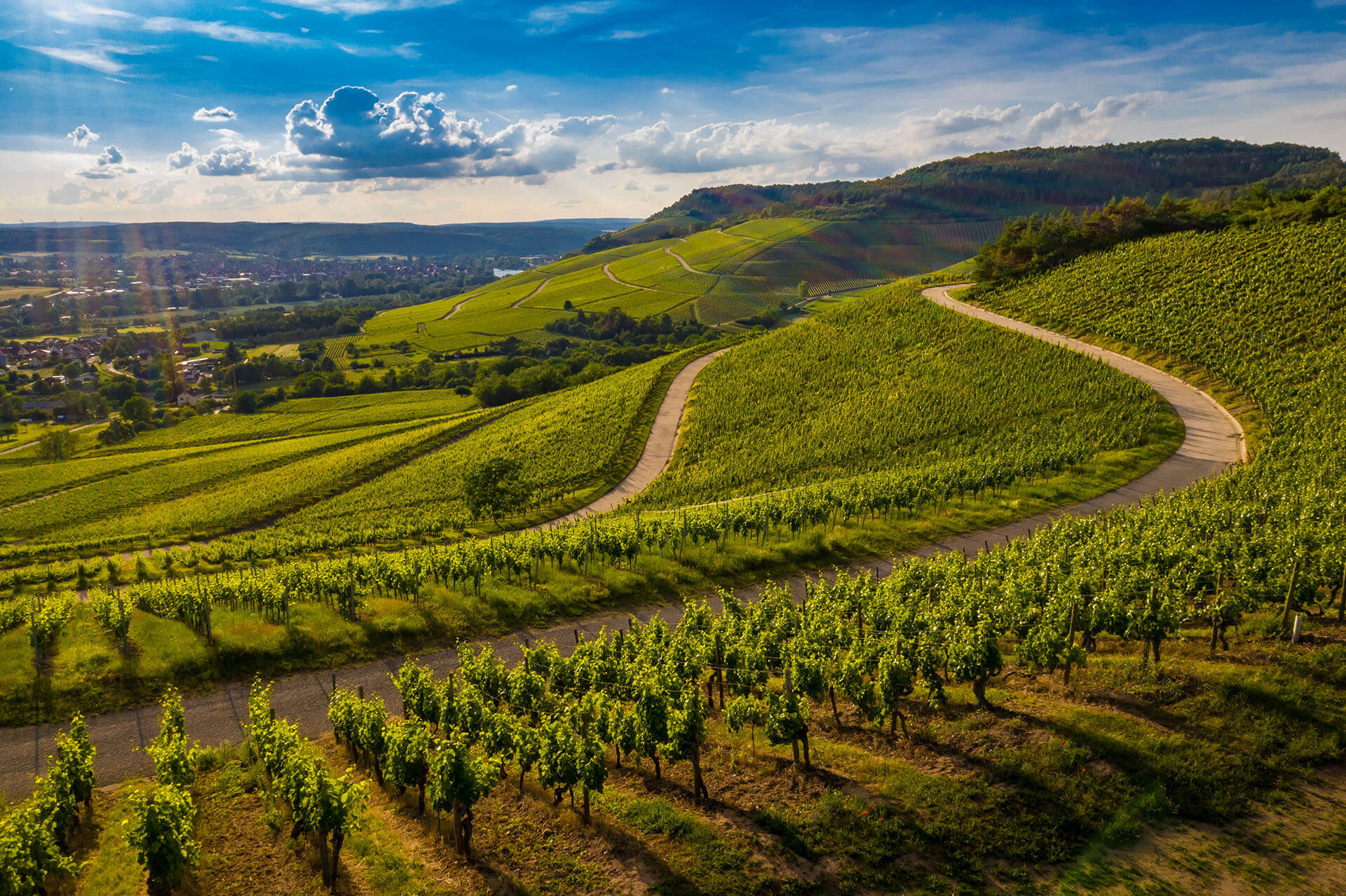 Piedimont’s Wine Tour